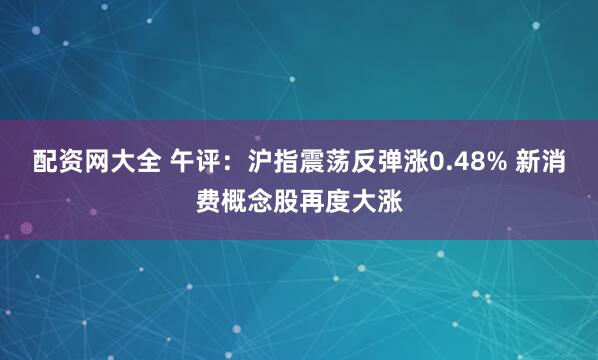 配资网大全 午评：沪指震荡反弹涨0.48% 新消费概念股再度大涨