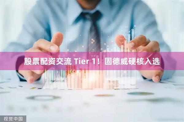 股票配资交流 Tier 1！固德威硬核入选