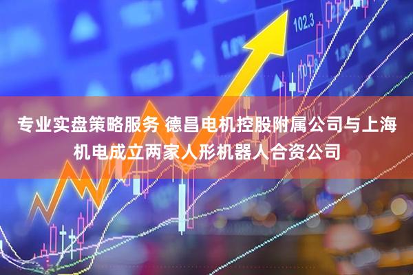 专业实盘策略服务 德昌电机控股附属公司与上海机电成立两家人形机器人合资公司